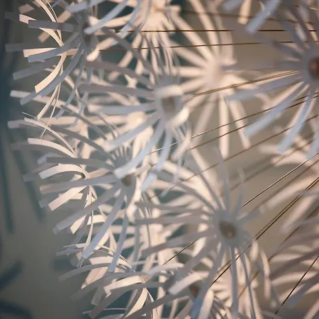 Nordwind Nordwind 02 Apartment